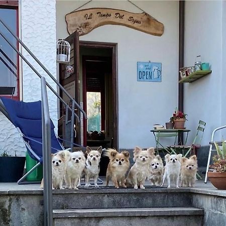 B&B Il Tempo Del Sogno Con Cani E Gatti Pet&Breakfast バヴェーノ エクステリア 写真
