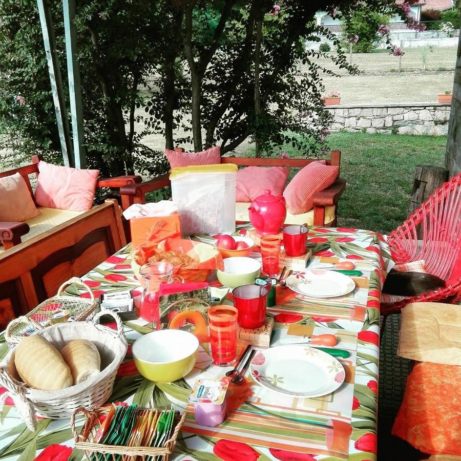 B&B Il Tempo Del Sogno Con Cani E Gatti Pet&Breakfast バヴェーノ エクステリア 写真