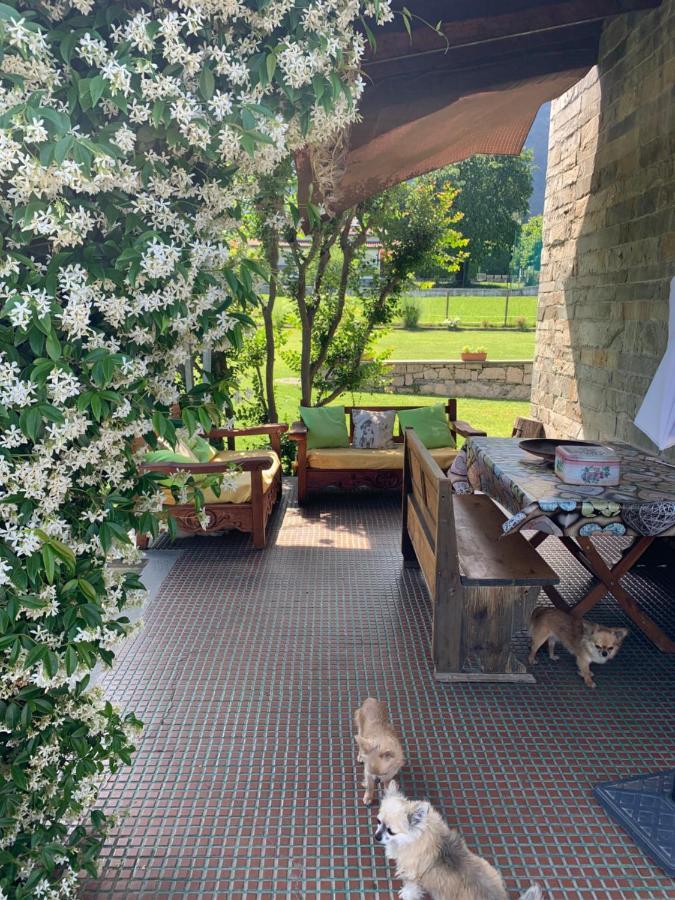 B&B Il Tempo Del Sogno Con Cani E Gatti Pet&Breakfast バヴェーノ エクステリア 写真