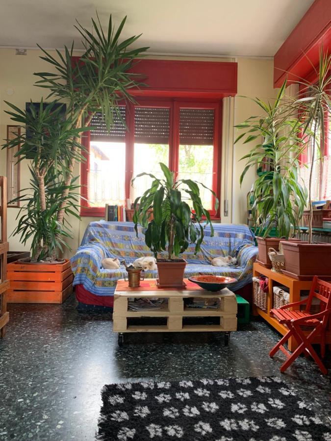 B&B Il Tempo Del Sogno Con Cani E Gatti Pet&Breakfast バヴェーノ エクステリア 写真